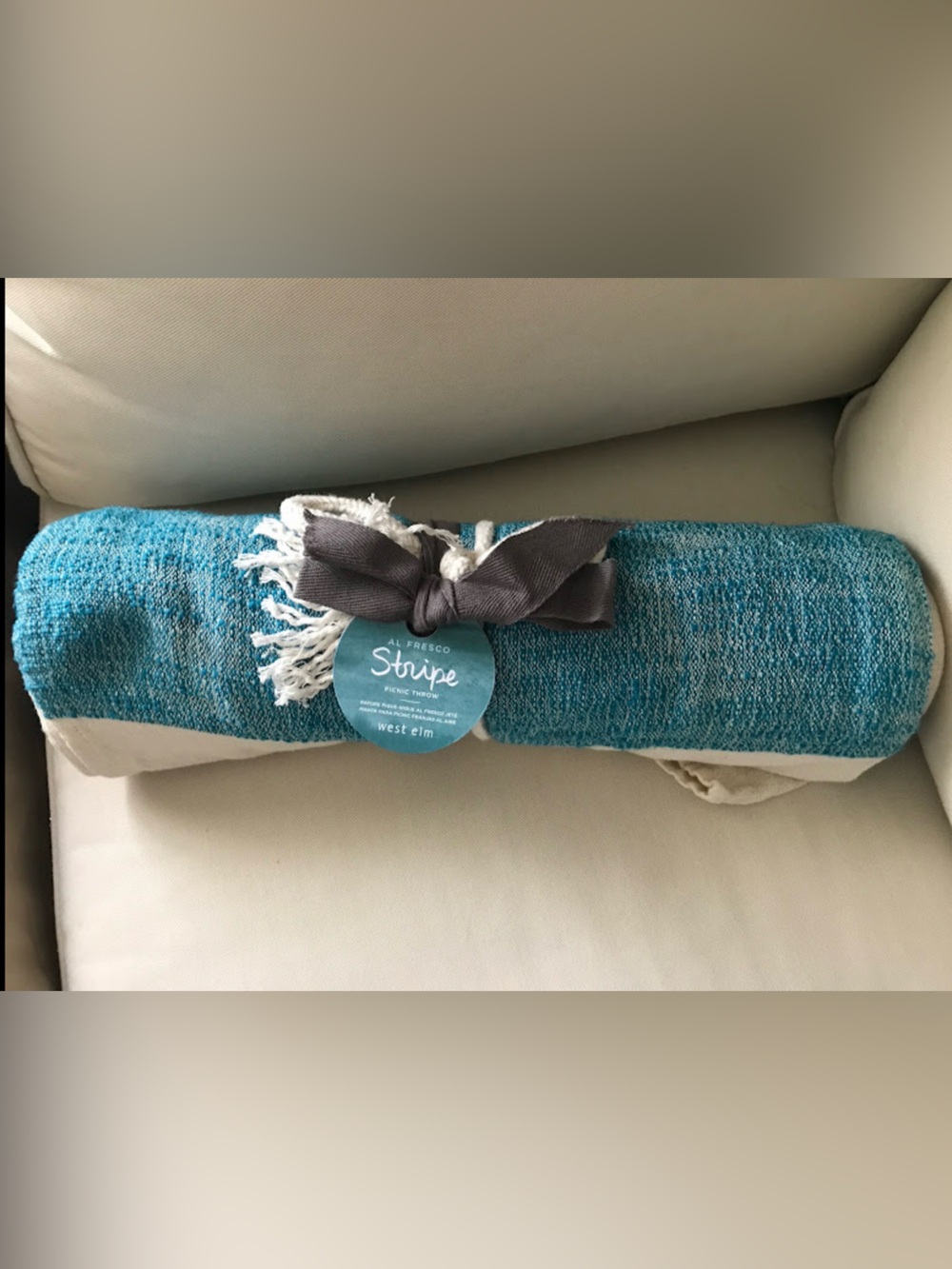 NWT West Elm Al Fresco Teal and White Striped Pinic Show 100 % cotton